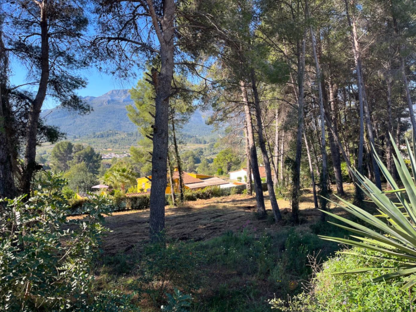 Baugrundstück zum Verkauf in La Solana, Alcalalí
