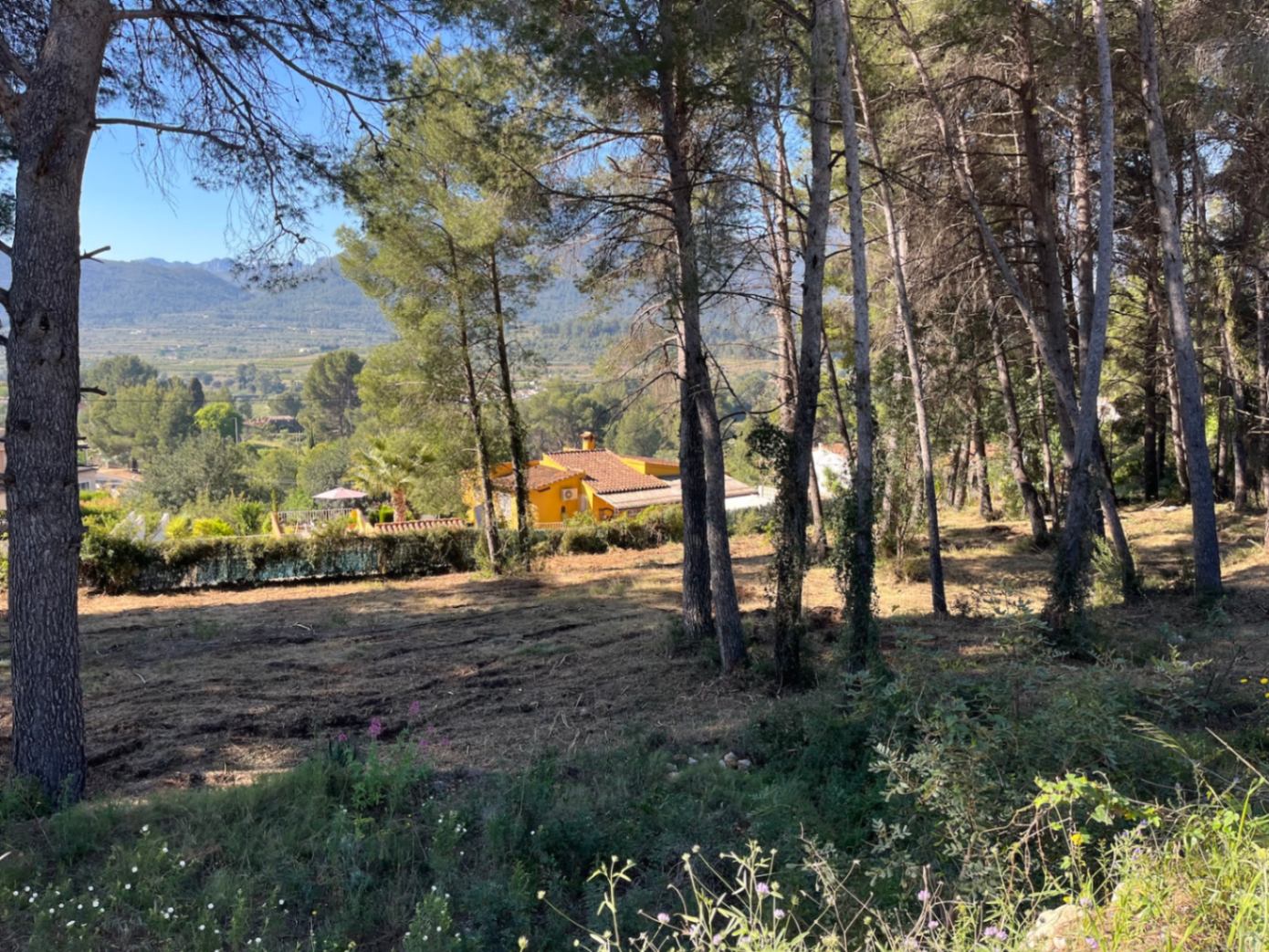 Baugrundstück zum Verkauf in La Solana, Alcalalí