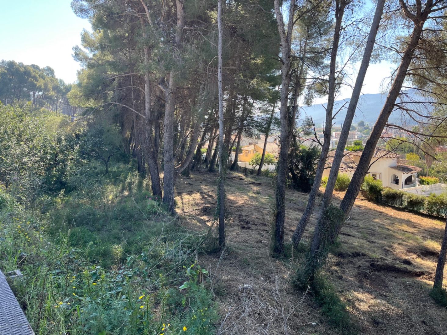 Baugrundstück zum Verkauf in La Solana, Alcalalí