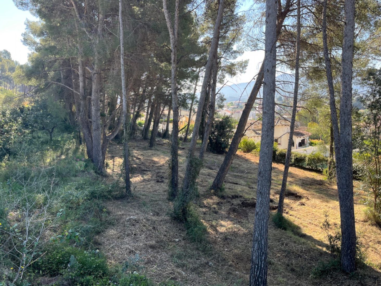 Baugrundstück zum Verkauf in La Solana, Alcalalí