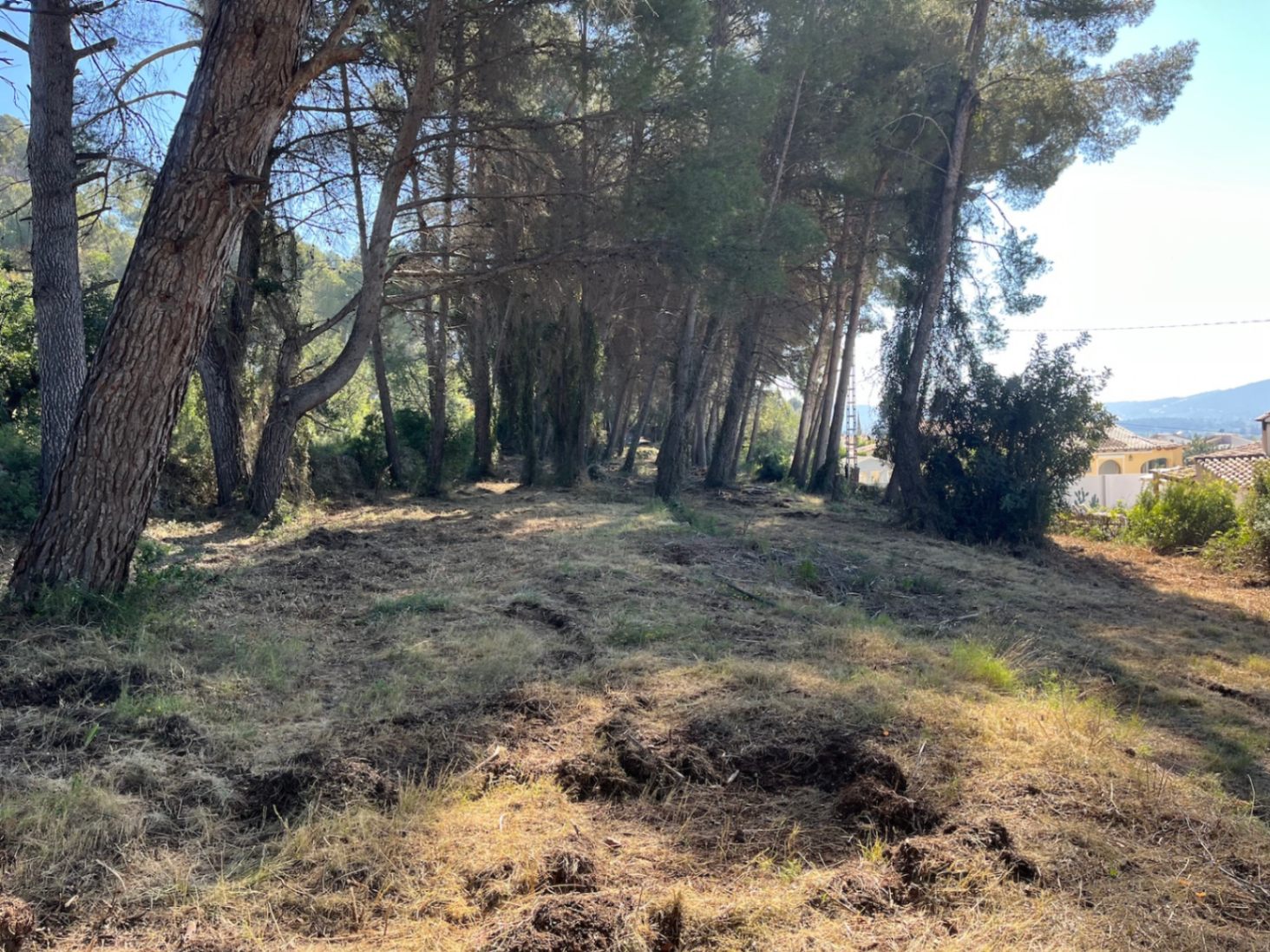 Baugrundstück zum Verkauf in La Solana, Alcalalí