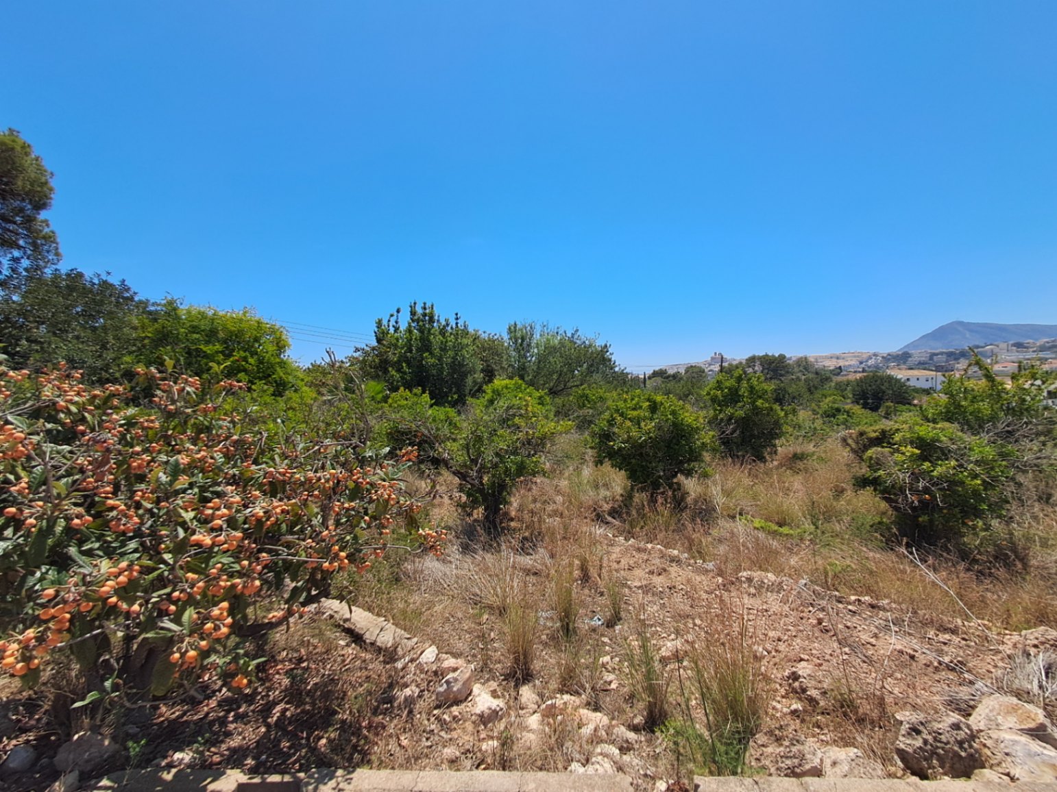 Building plot for sale in Altea of ​​10,287 m²