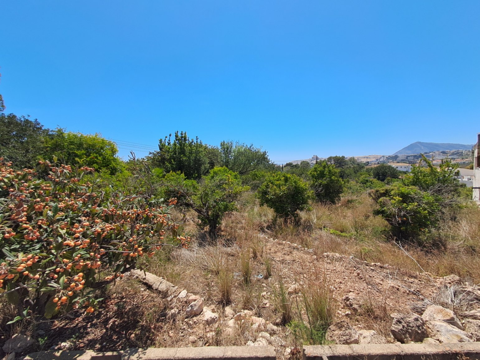 Building plot for sale in Altea of ​​10,287 m²