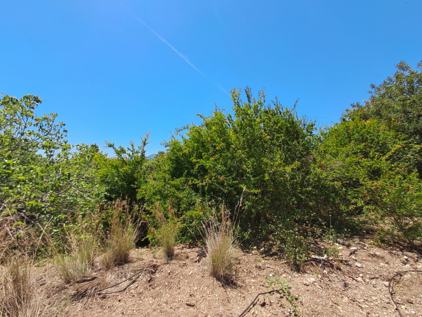 Building plot for sale in Altea of ​​10,287 m²