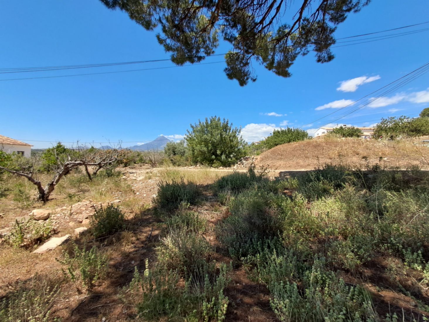 Building plot for sale in Altea of ​​10,287 m²
