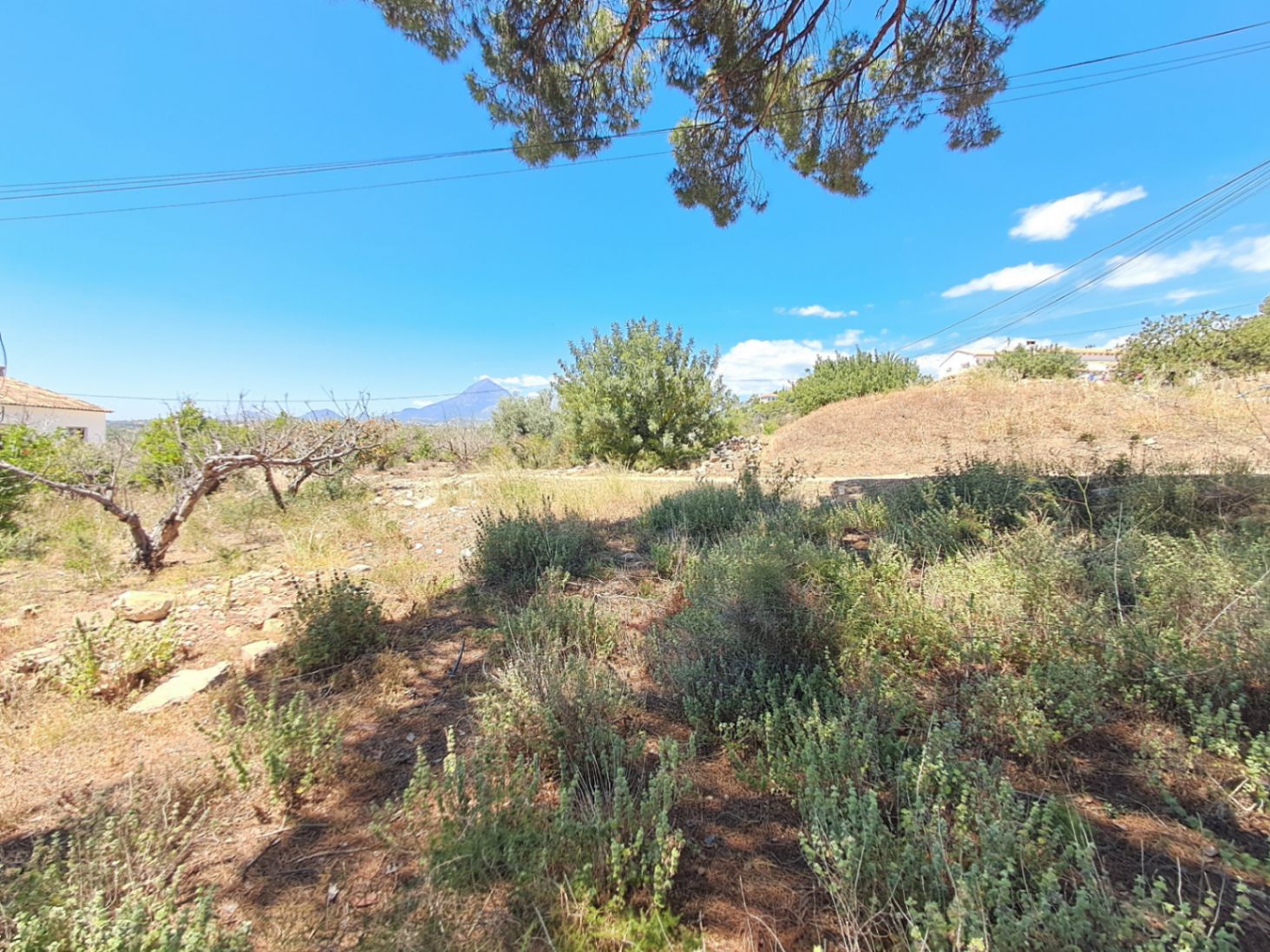 Building plot for sale in Altea of ​​10,287 m²