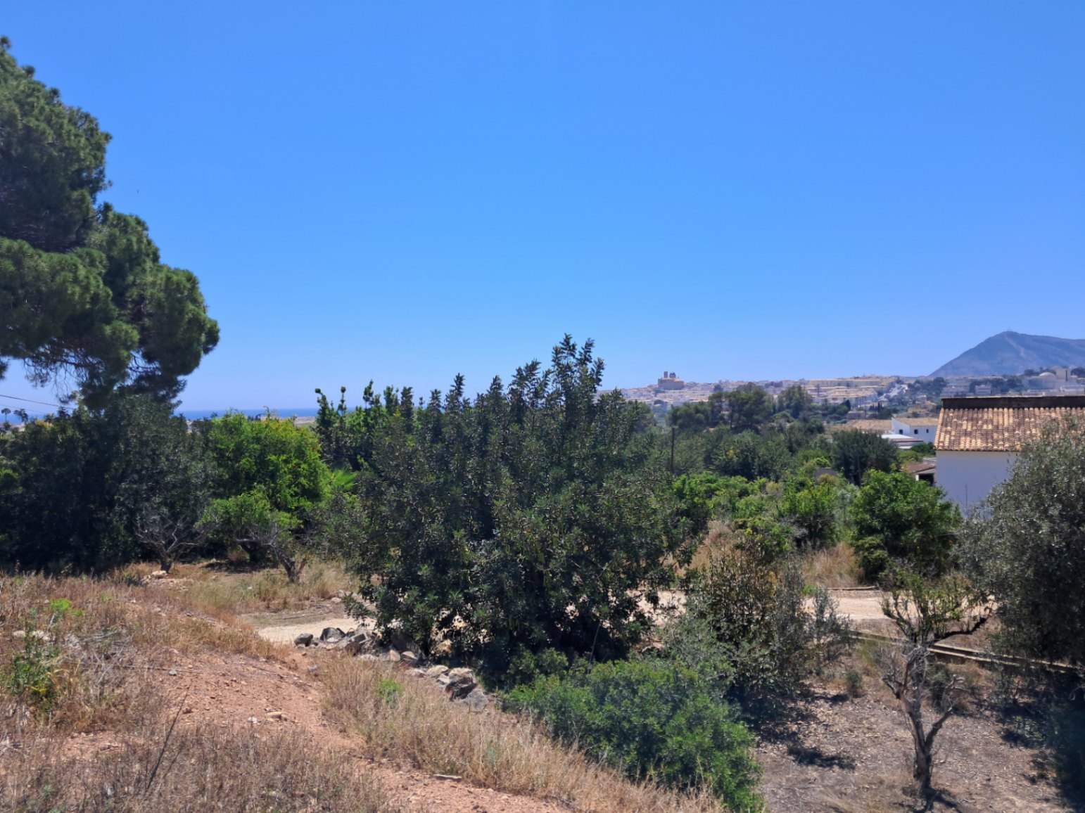 Building plot for sale in Altea of ​​10,287 m²