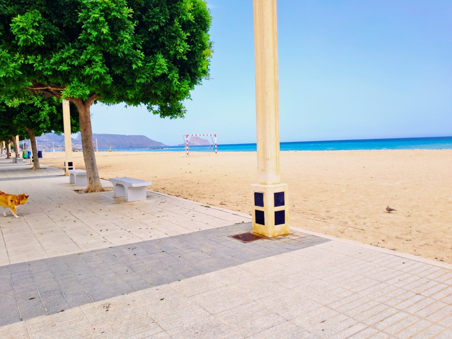 Spacious 4 bedroom apartment for sale in Altea