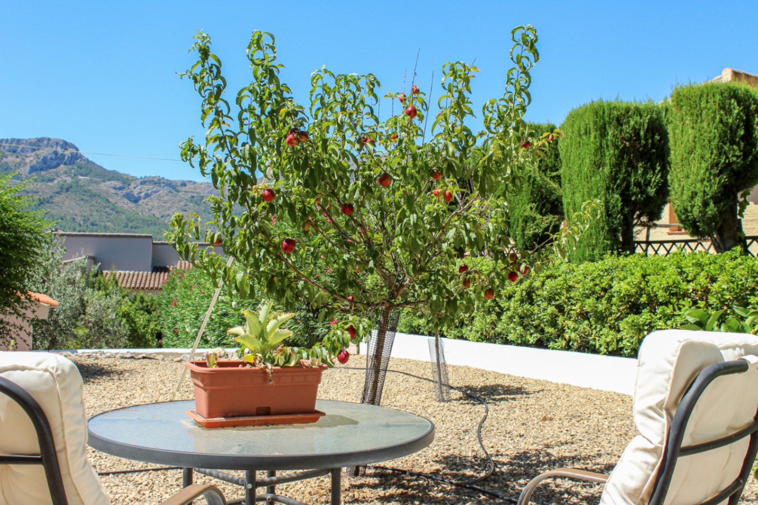 South-Facing Villa for Sale in Alcalalí