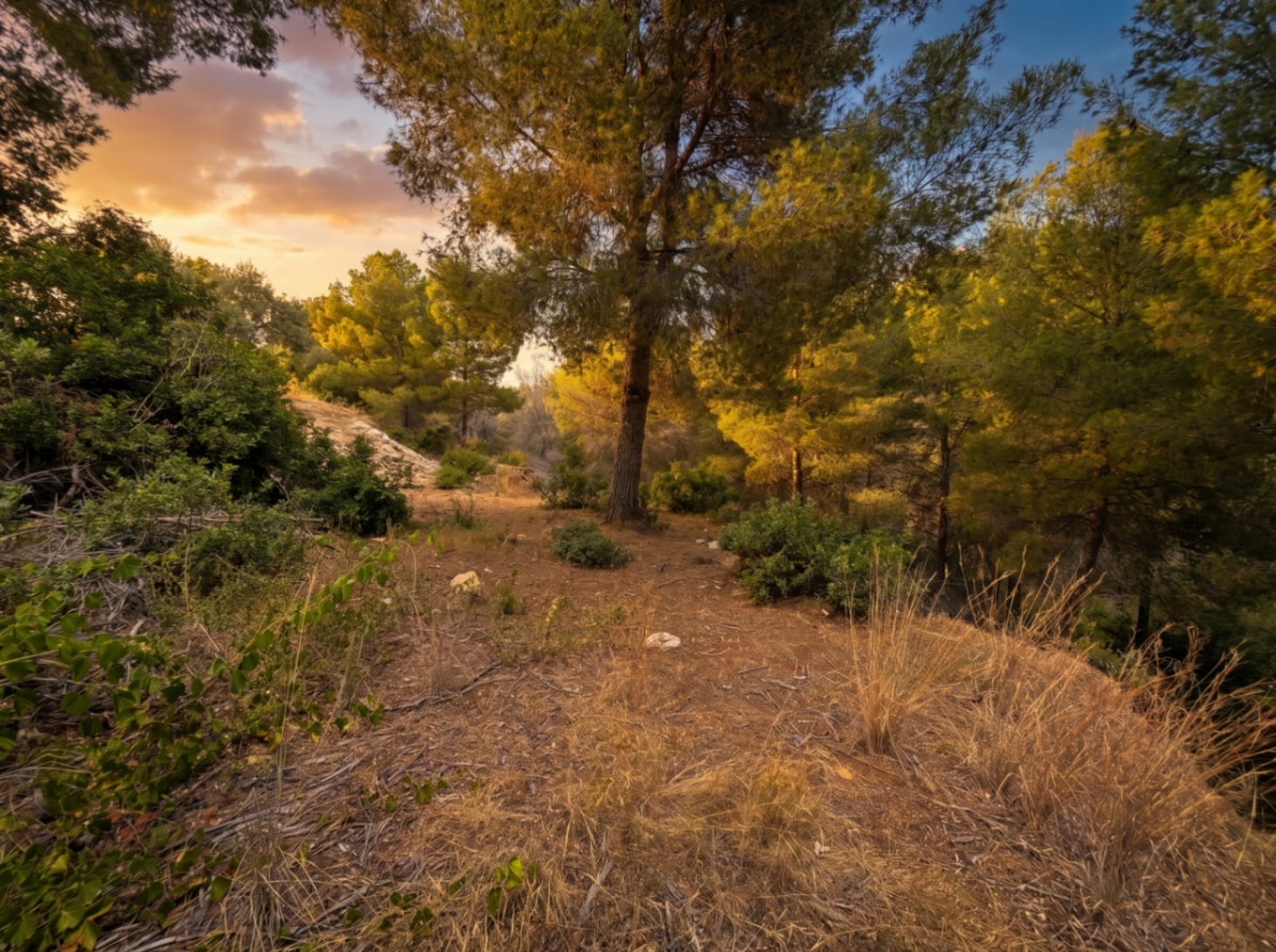 Plot for sale in Benissa, Fanadix