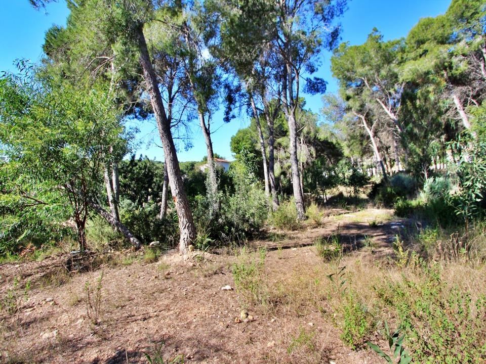 Slightly inclined building plot for sale in Moraira, close to town.Located in the