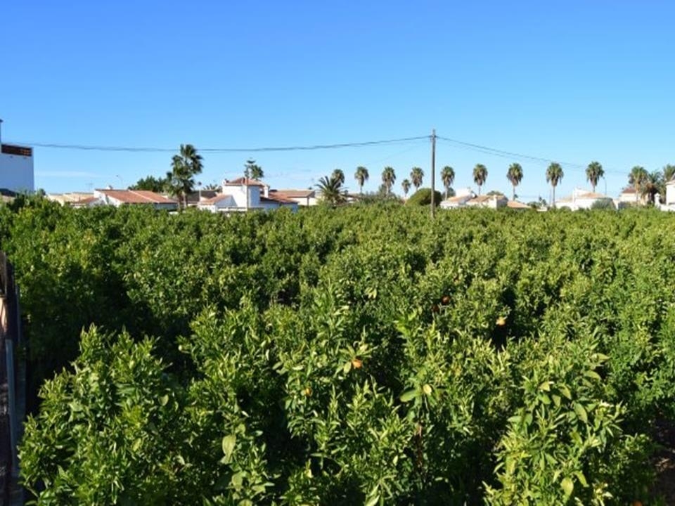 Building plot in Els Poblets