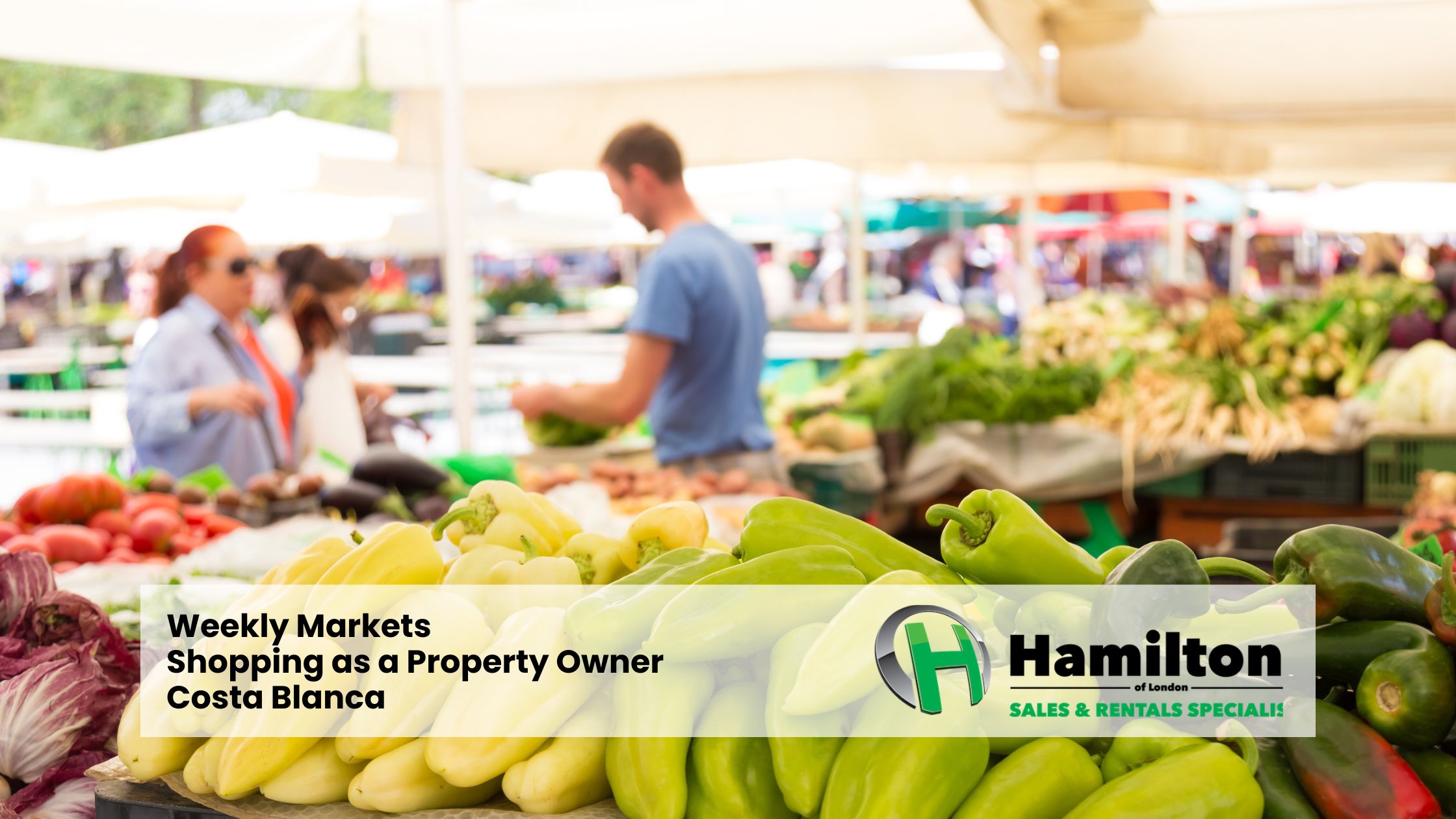 Popular Markets - Weekly Market and Market Days