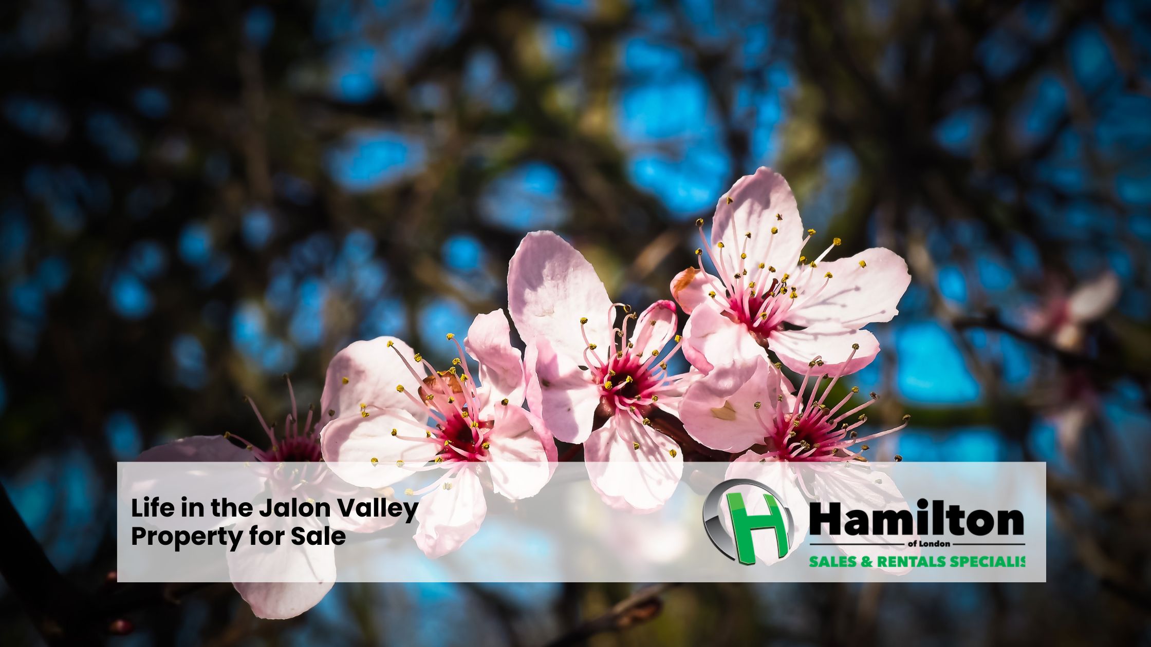 About The Jalon Valley - Life and Atmosphere