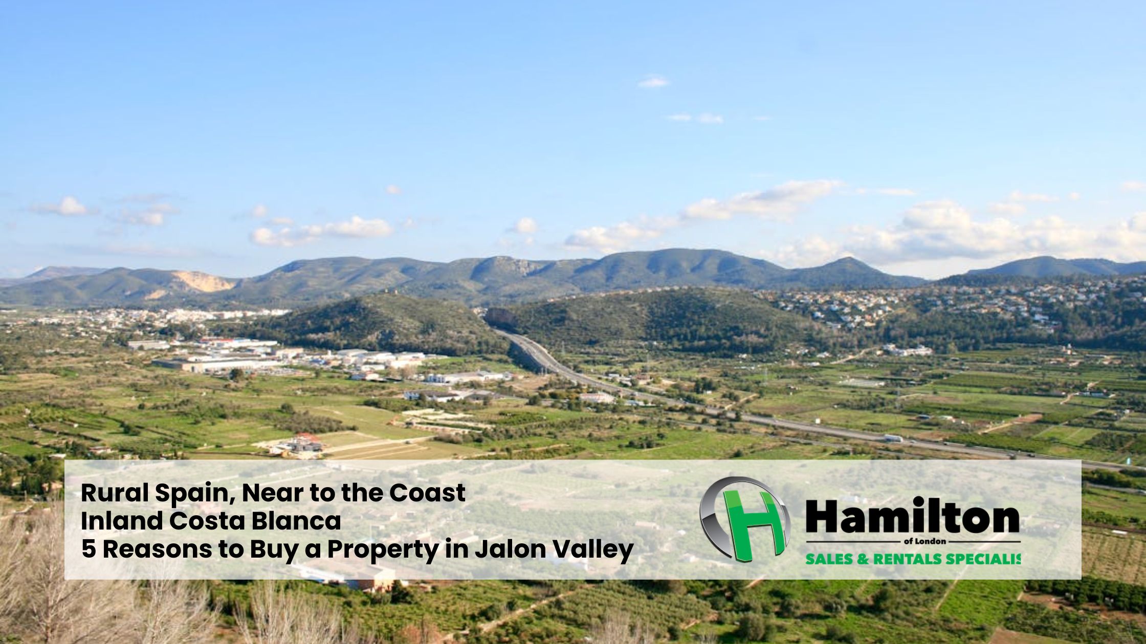 Five Top Reasons To Buy In The Jalon Valley