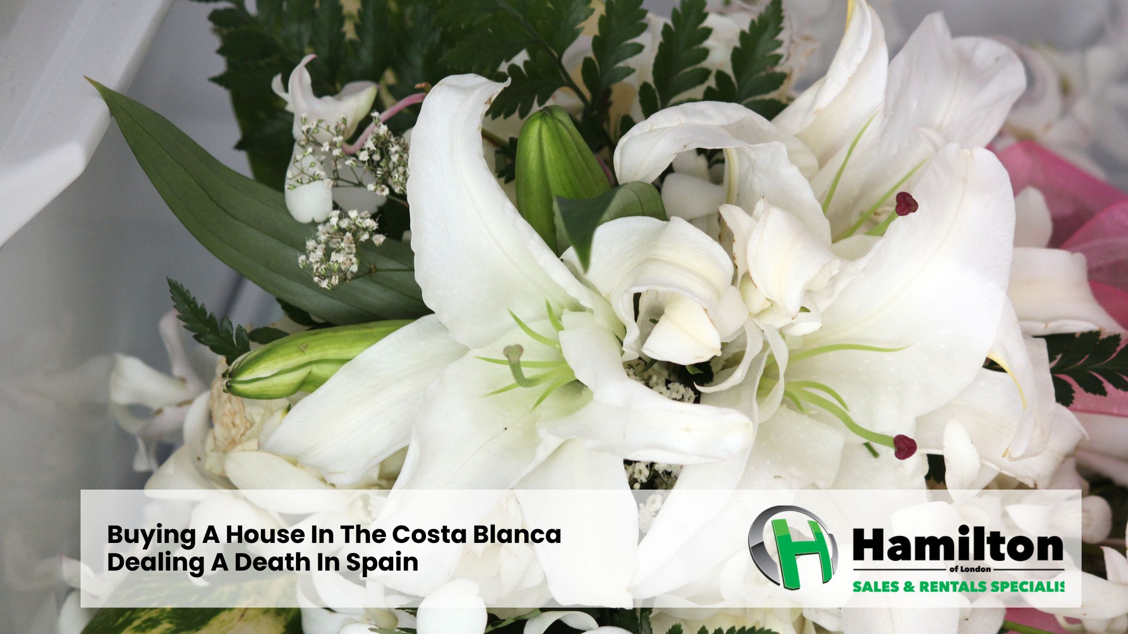 Buying A House In The Costa Blanca | Dealing with Death In Spain