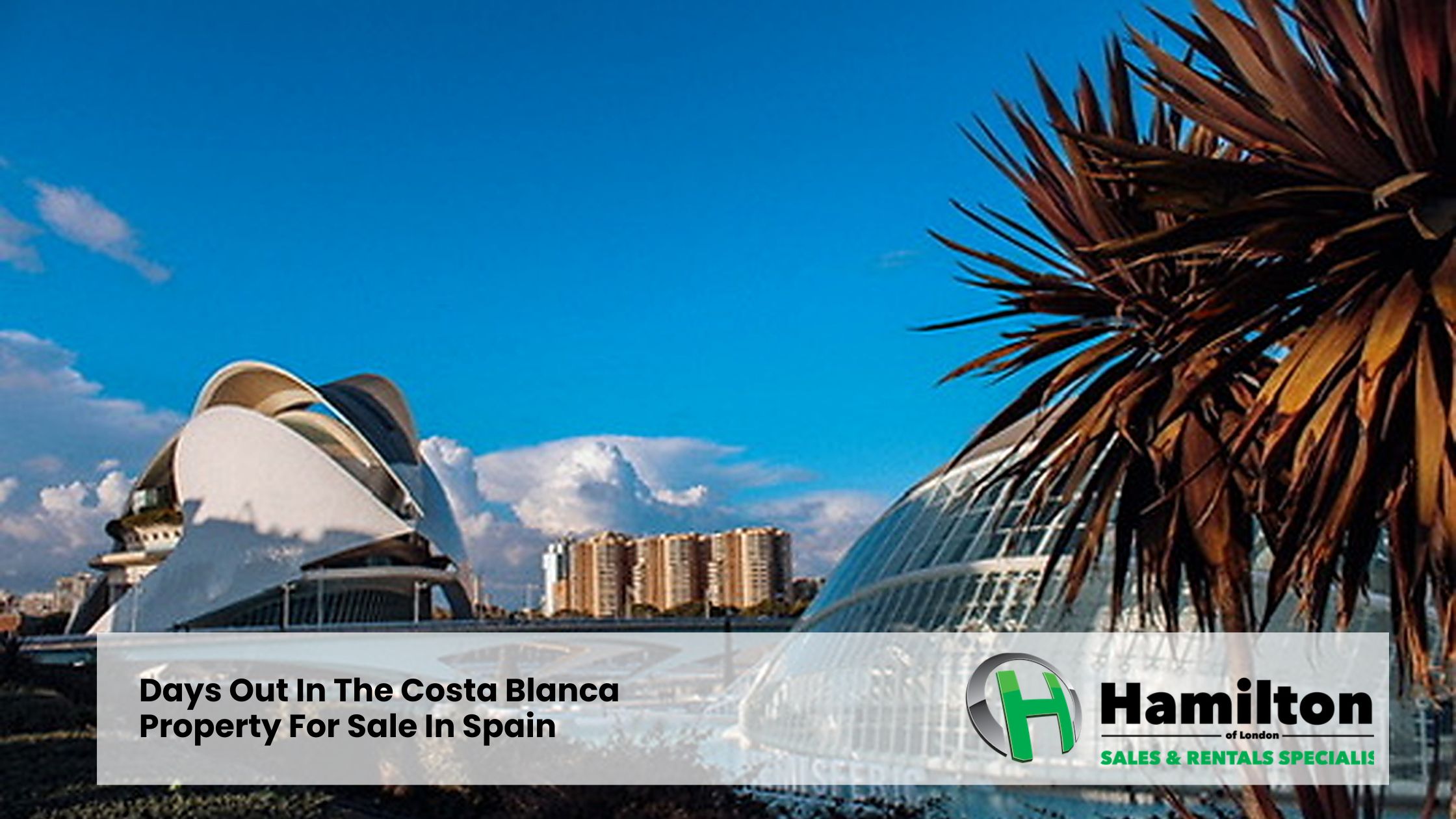 Days Out In The Costa Blanca – Property For Sale In Spain