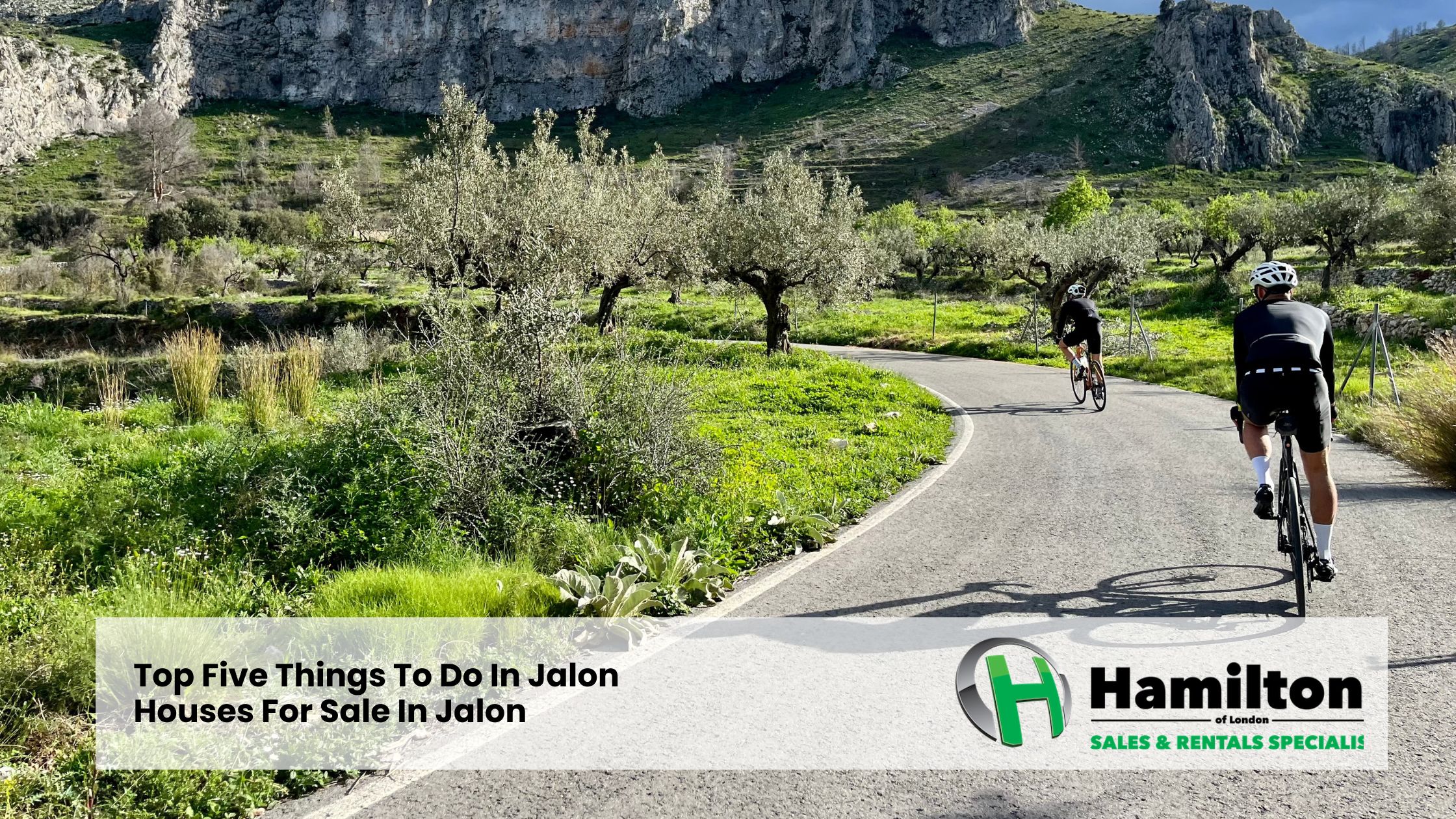 Top Five Things To Do In Jalon | Houses For Sale In Jalon