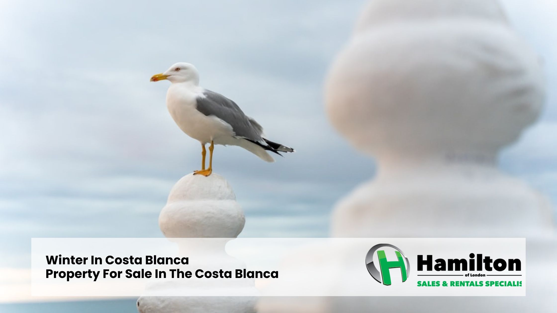 Winter In The Costa Blanca | Property For Sale In The Costa Blanca