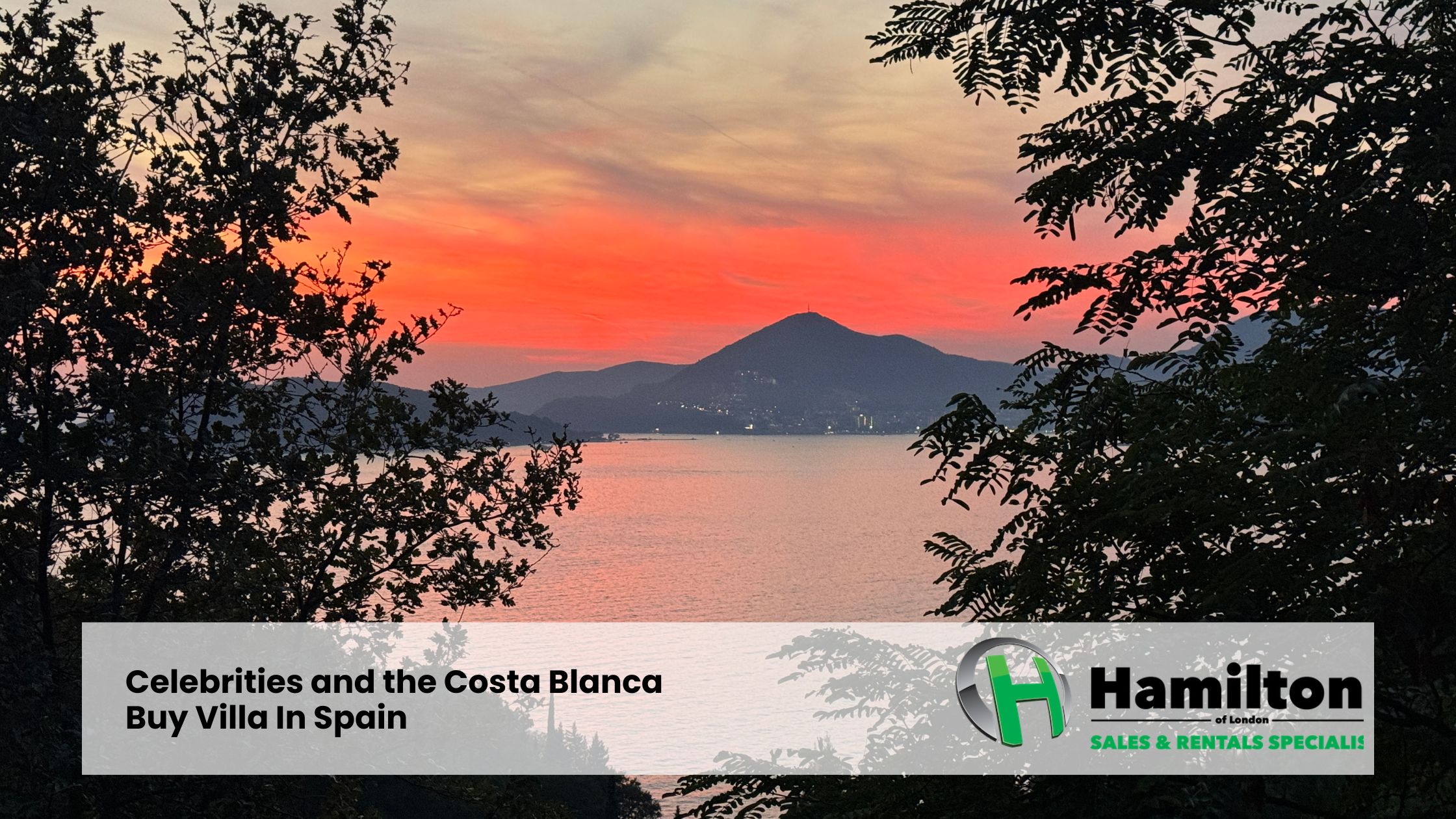 Celebryci i Costa Blanca | Kup willę w Hiszpanii