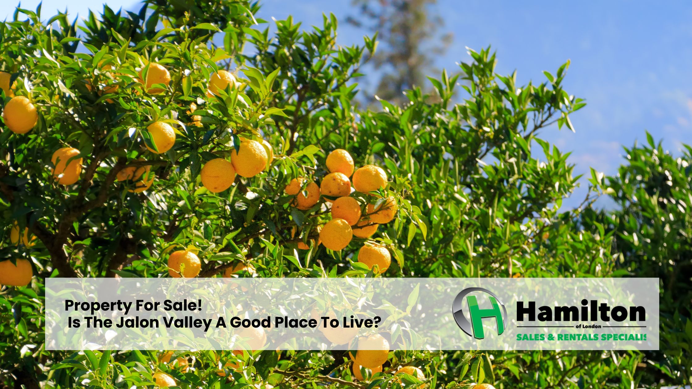 Property For Sale! Is The Jalon Valley A Good Place To Live?