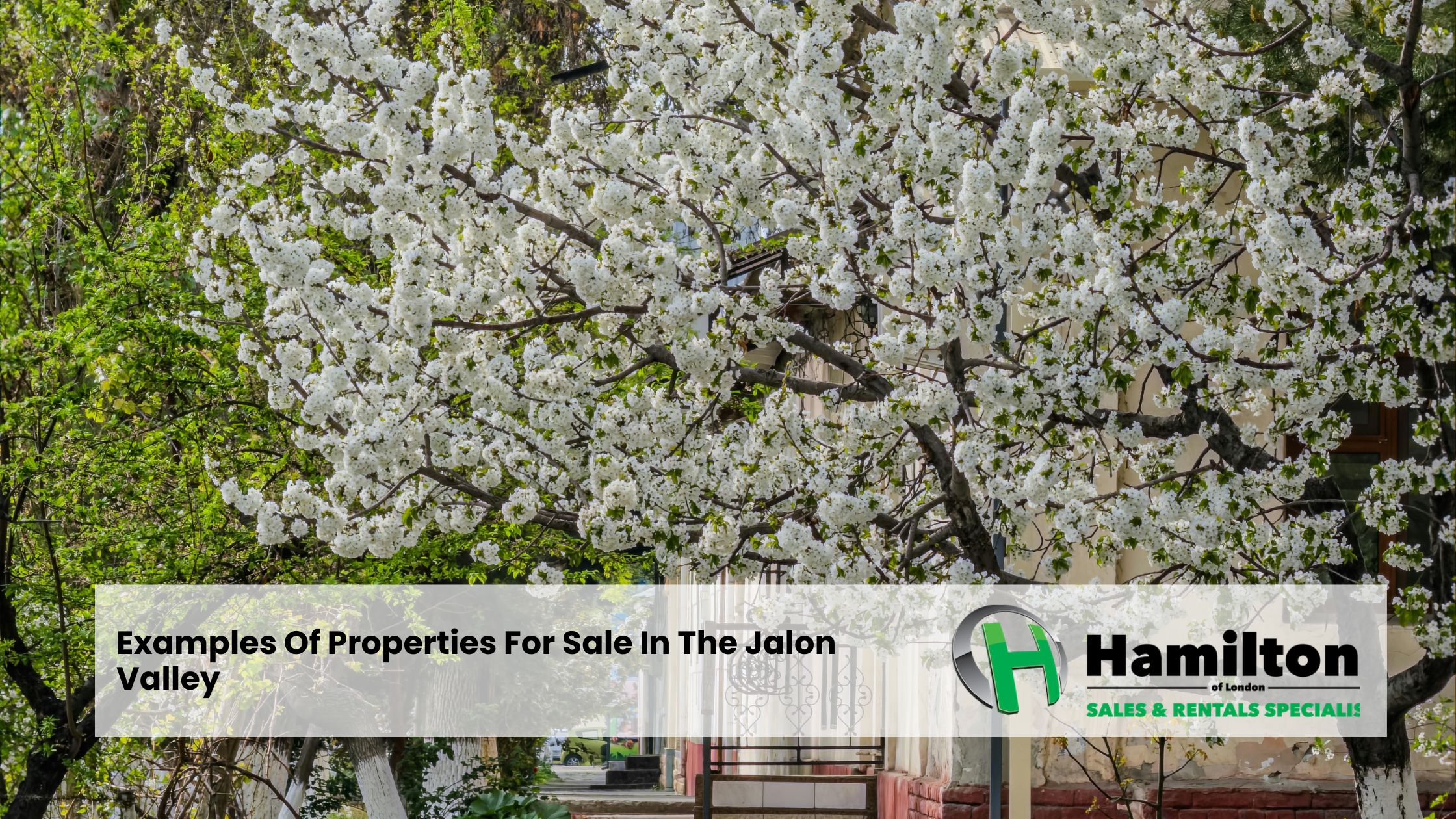 Examples Of Properties For Sale In The Jalon Valley