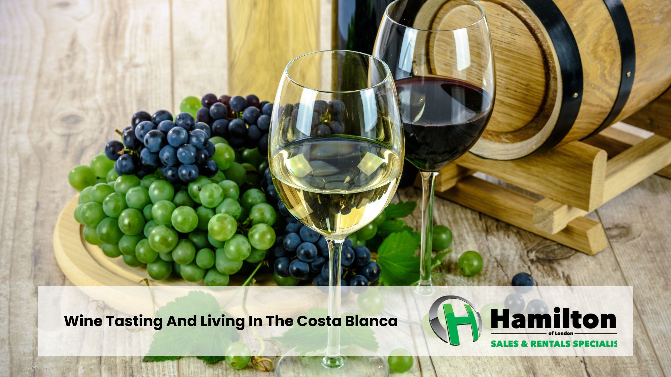 Degustacja wina i życie w Costa Blanca