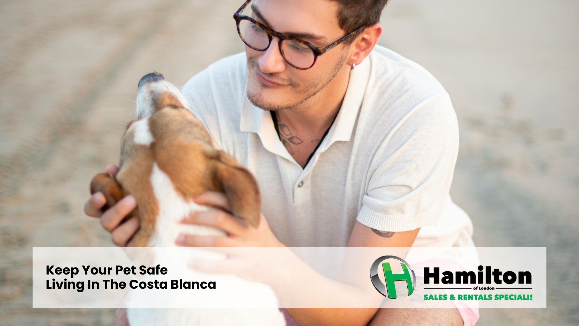 Keep Your Pet Safe Living In The Costa Blanca