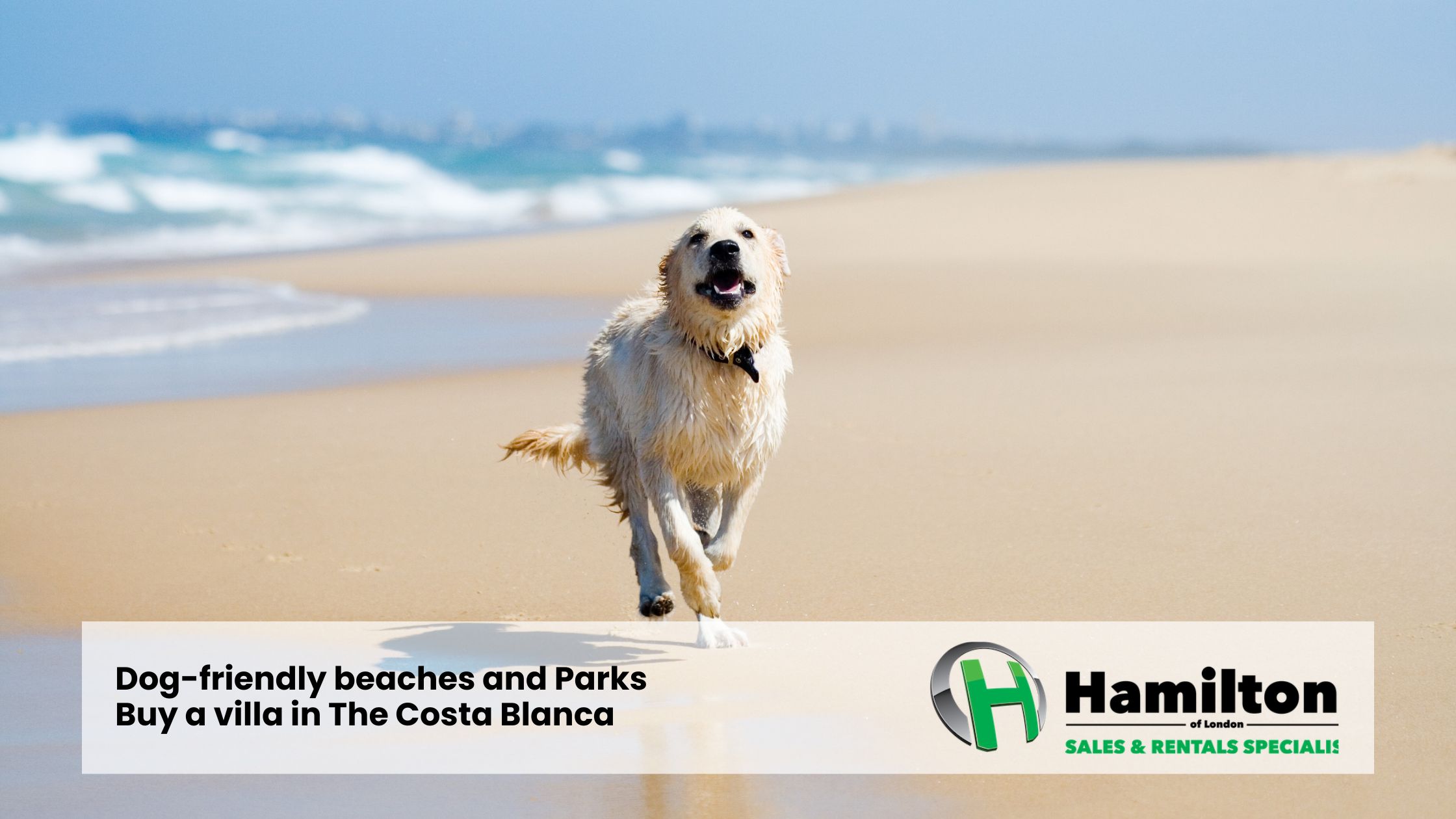 Hondvriendelijke stranden en parken – Koop een villa in Costa Blanca