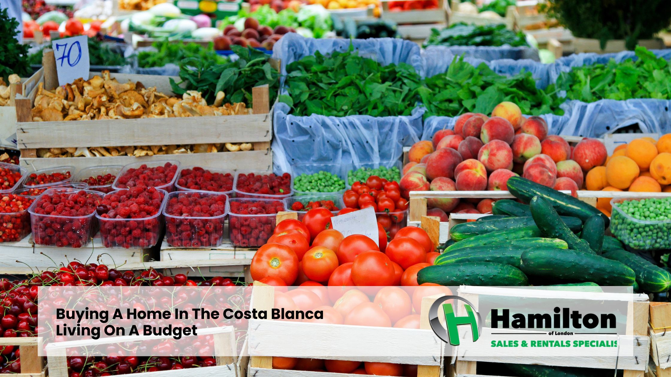 Buying A Home In The Costa Blanca | Living On A Budget