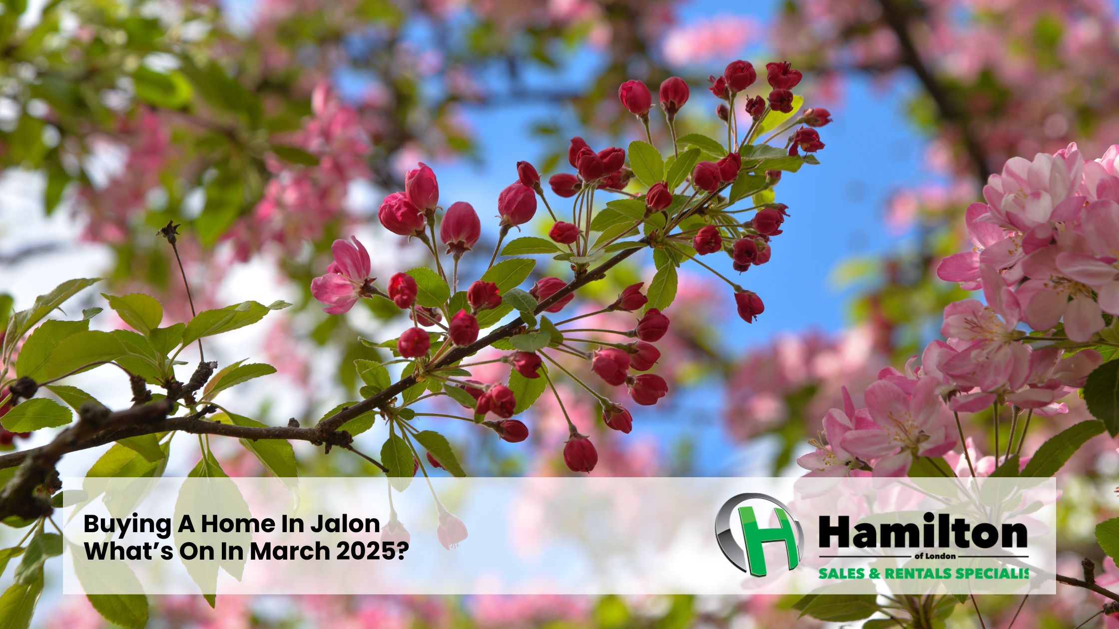 Buying A Home In Jalon – What’s On In March 2025?