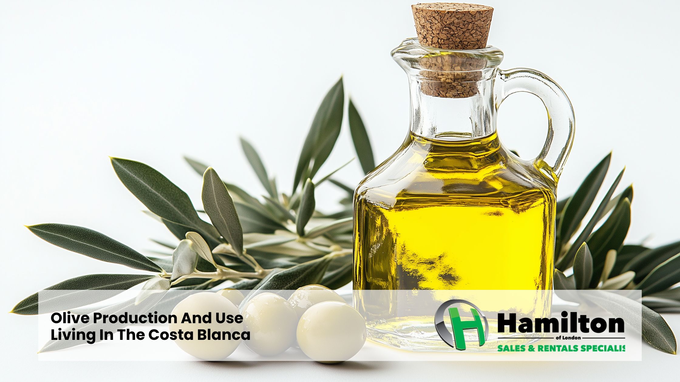 Production et utilisation d’olives – Vivre sur la Costa Blanca