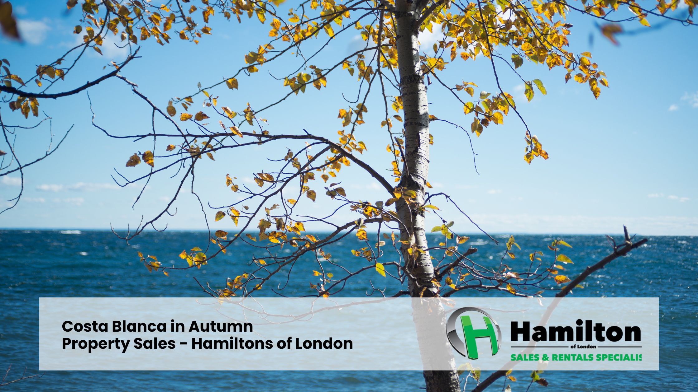 Costa Blanca in Autumn - Property Sales - Hamiltons Real Estate